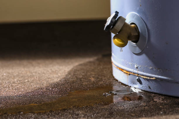 Best Fire Damage Restoration  in West Point, NY