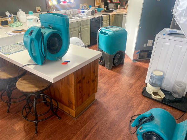 Best Water damage restoration near me  in West Point, NY