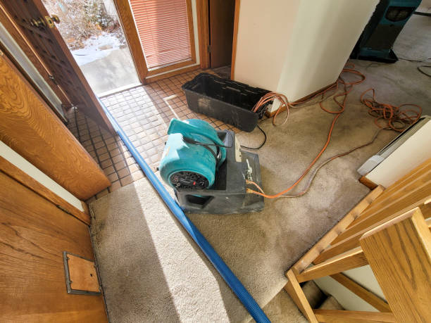 Best 24-hour water damage restoration  in West Point, NY