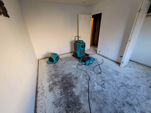 Best Basement water damage restoration  in West Point, NY