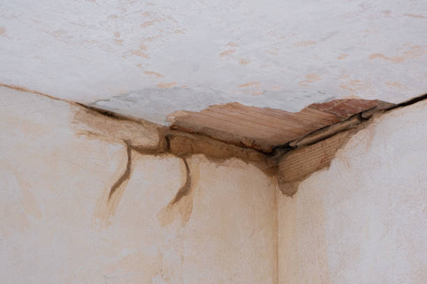 Best Water damage cleanup near me  in West Point, NY
