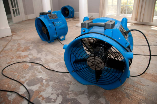 Best Water damage restoration specialists  in West Point, NY